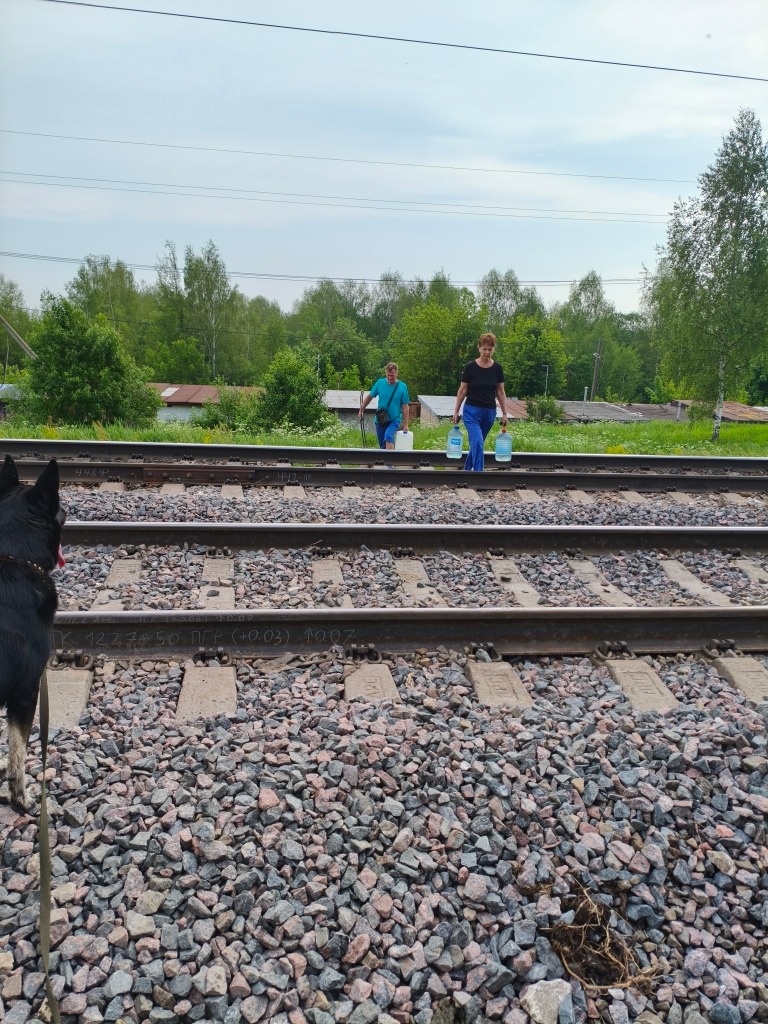 Подпись видео Подпись видео