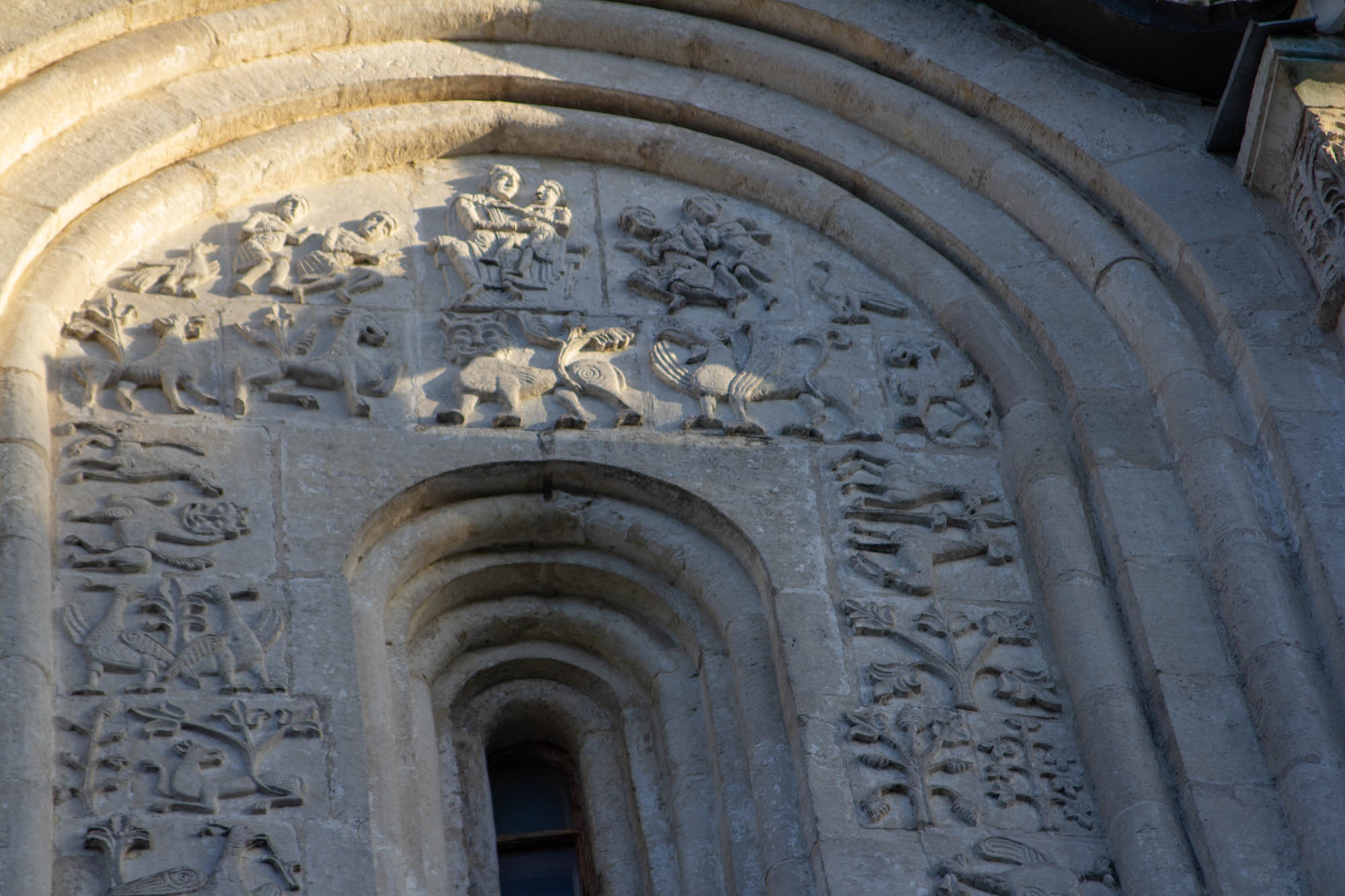 IMG_7766.jpg