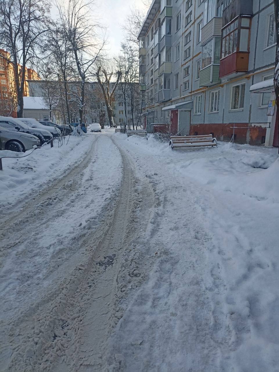 eDQ-IThLZsUnofx.jpg