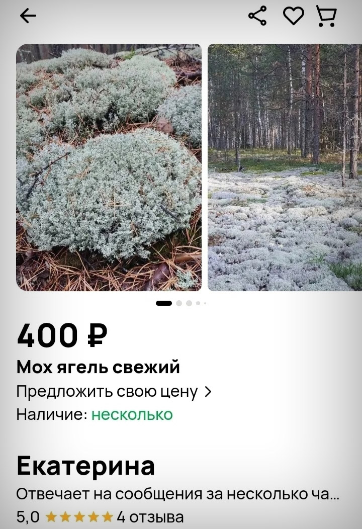 4OEWPs1N5AVvcan.jpg