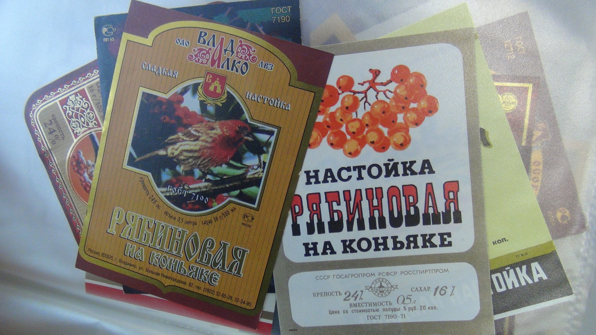 DSC06129.JPG