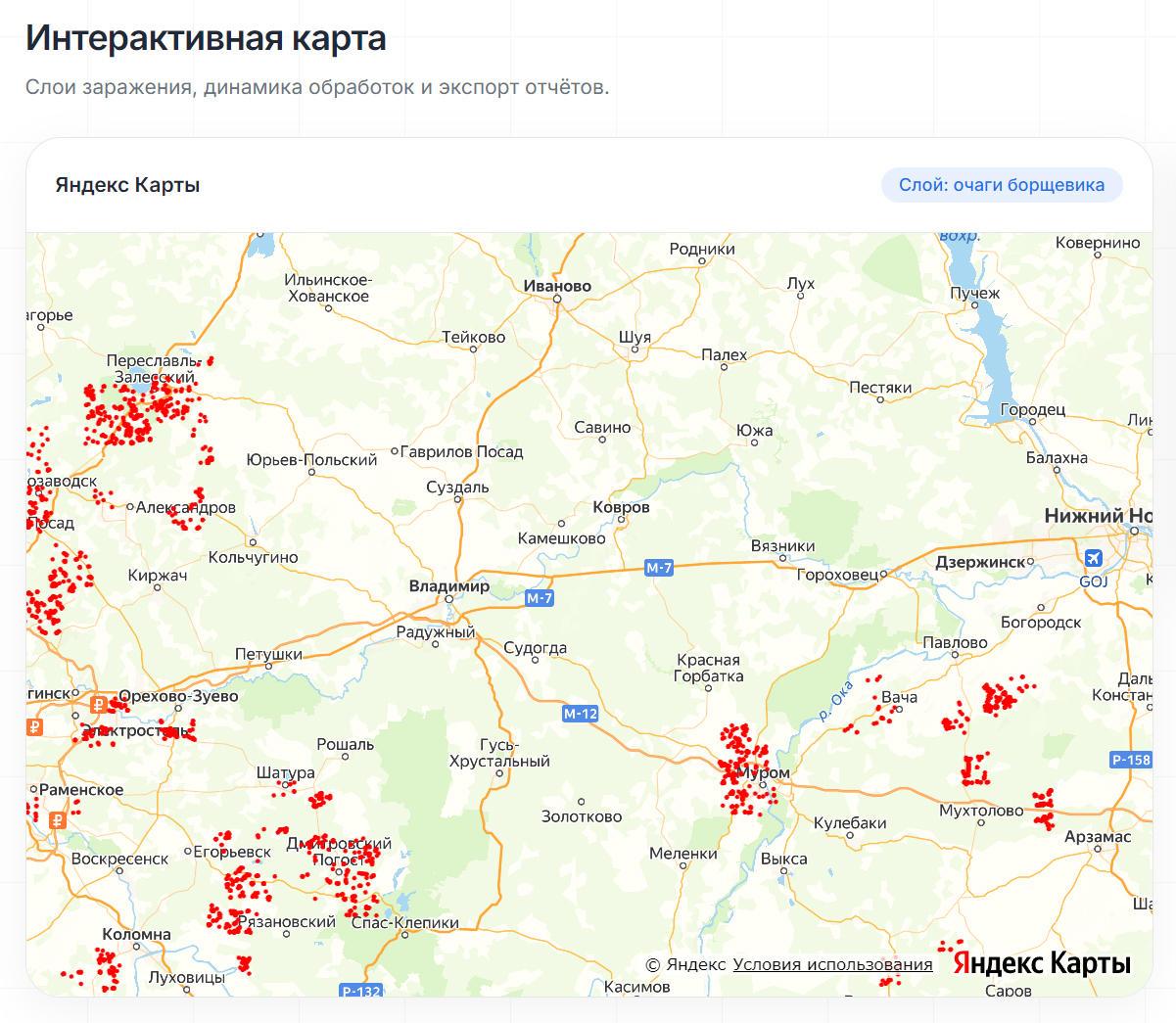 Map_borshev.jpg