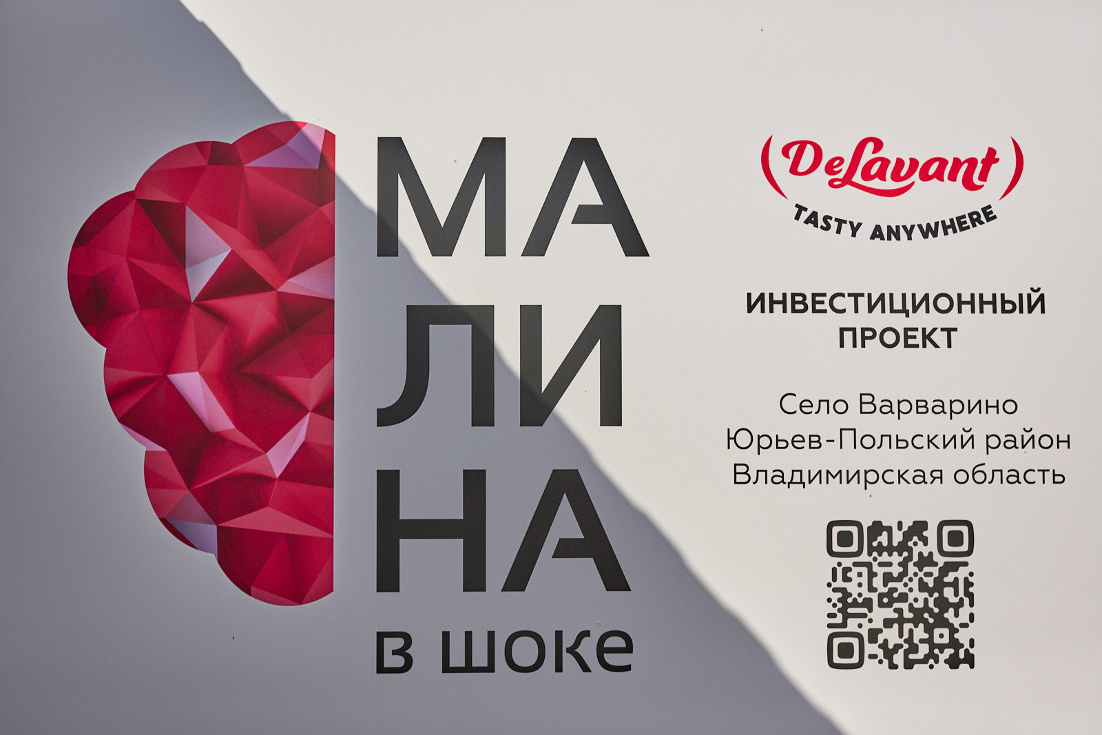 QQ0A0306.jpg