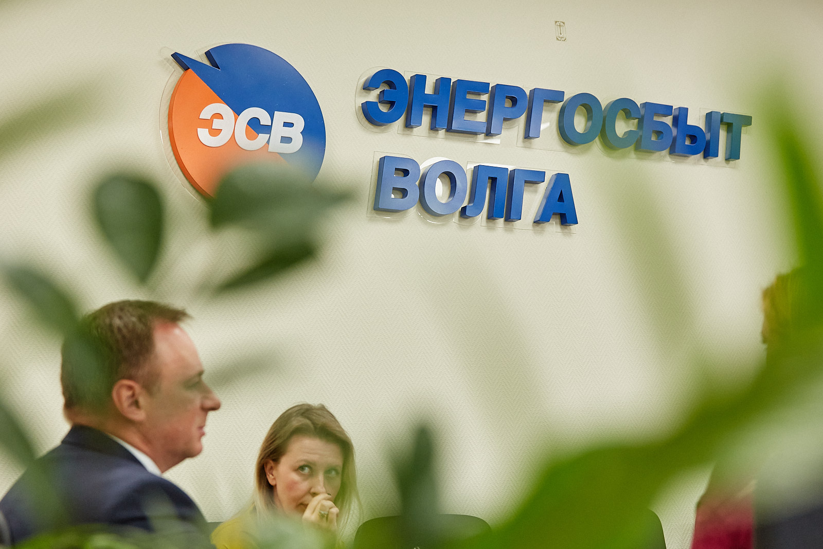 QQ0A4978.jpg