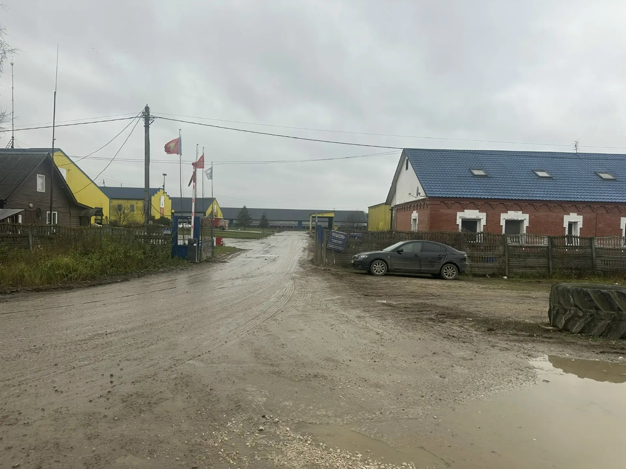 U1XOSzxp1BIXrEwY.jpg