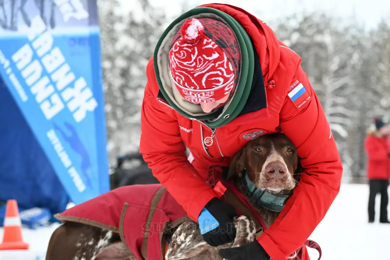 dogsport4.jpg