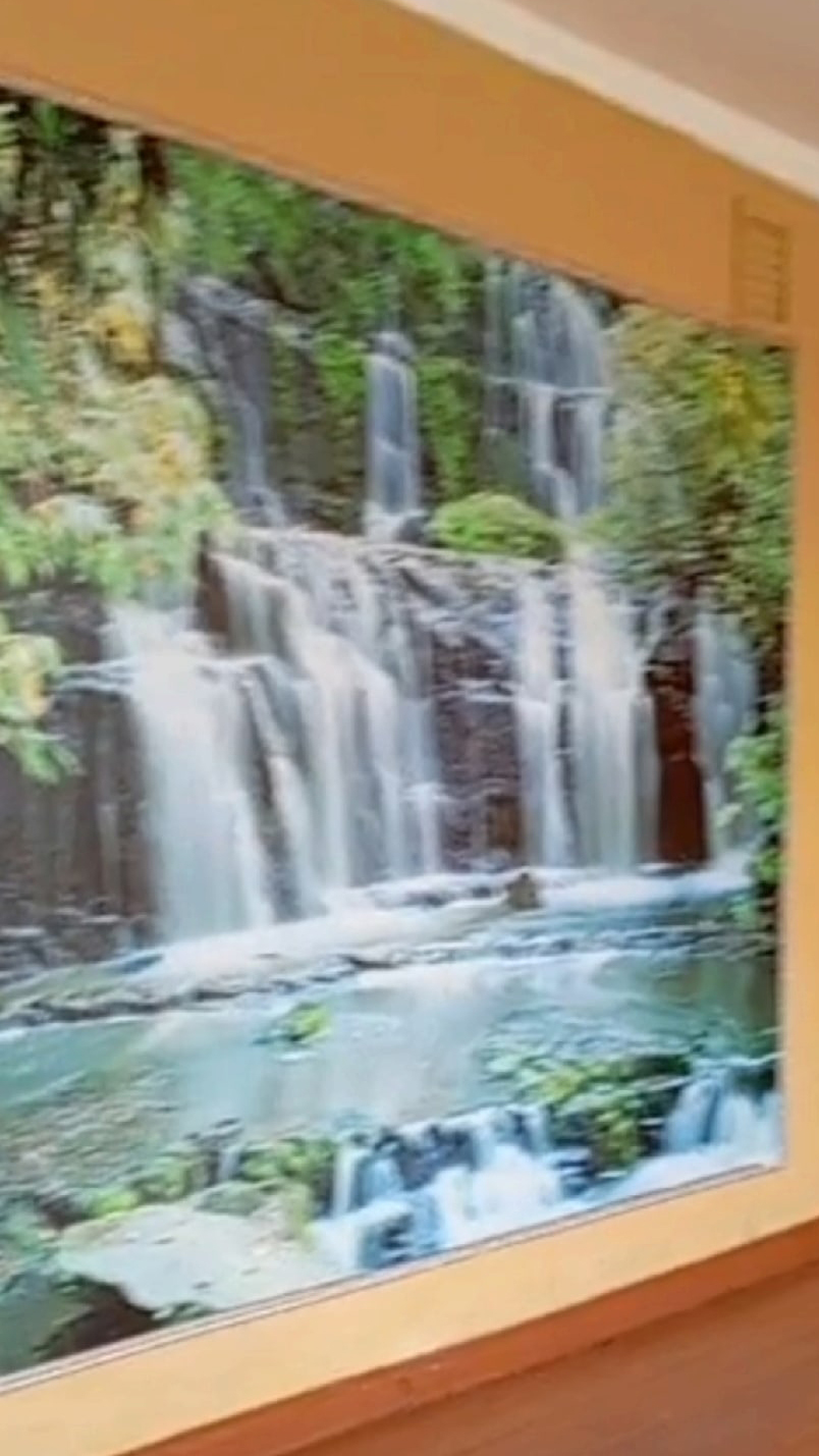 eBXNefI1eN.jpg