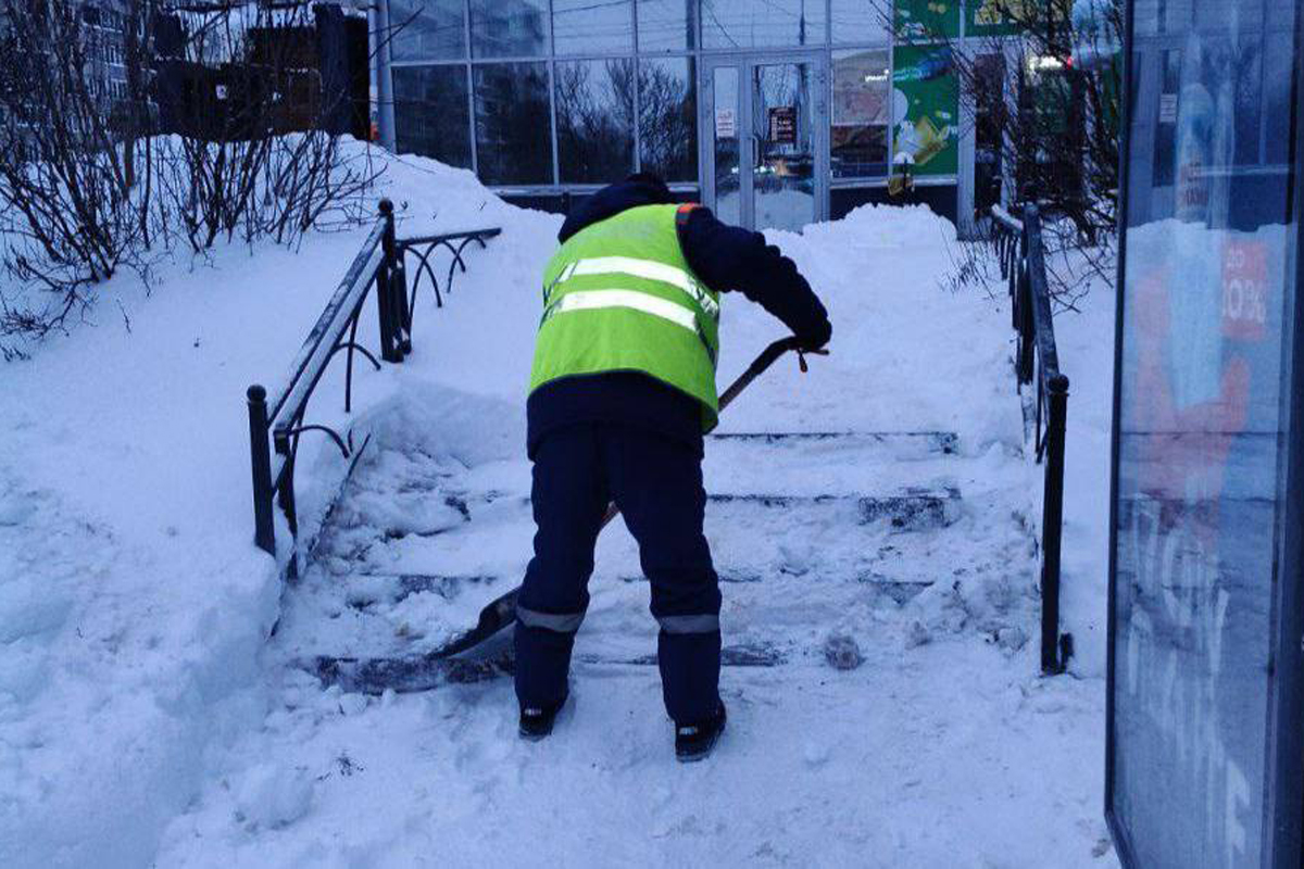photo_7_2026-01-11_12-43-53.jpg